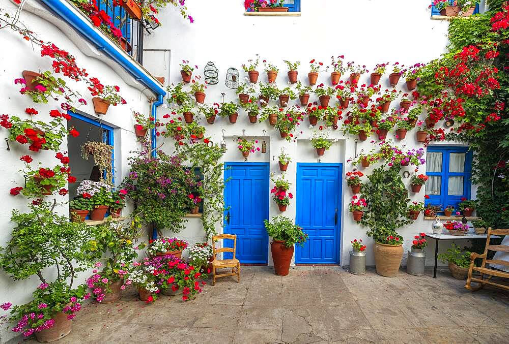 Blue entrance door in courtyard decorated with flowers, geraniums in flower pots on the house wall, Fiesta de los Patios, Cordoba, Andalucia, Spain, Europe