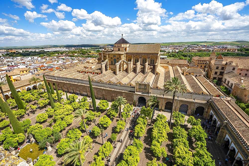 View of Patio de los Naranjos and Mezquita-Catedral de Cordoba, Cordoba, Andalusia, Spain, Europe