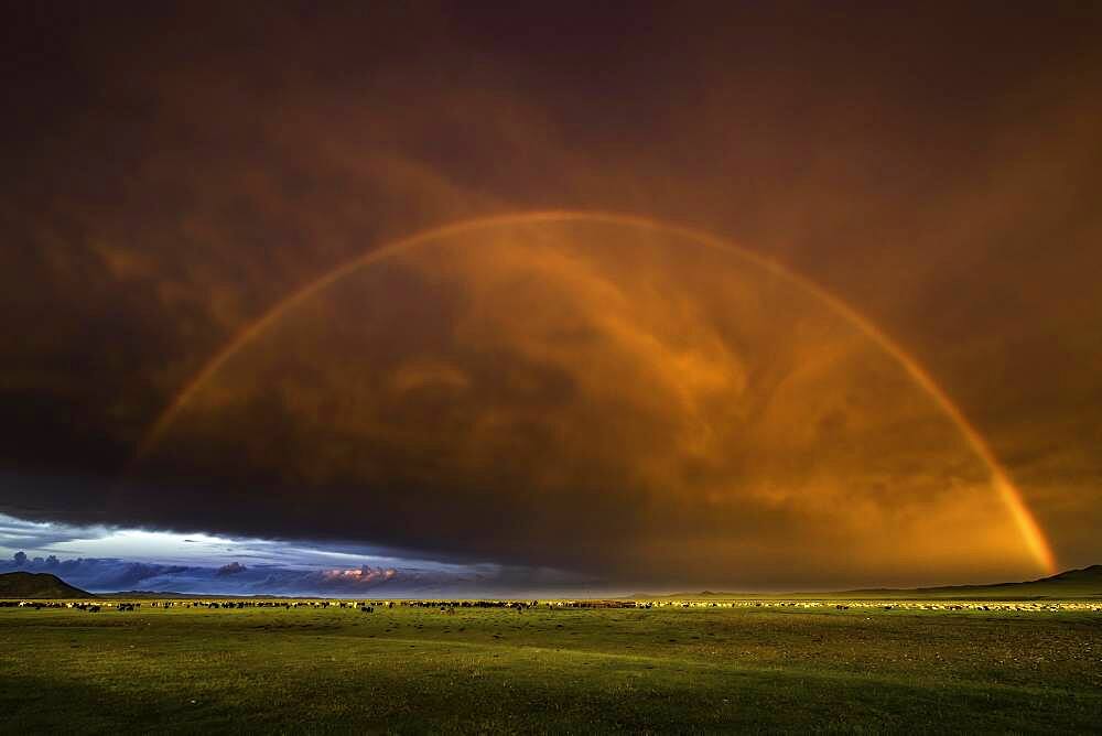 Rainbow on steppe with sunset, Arkhangai province, Mongolia, Asia