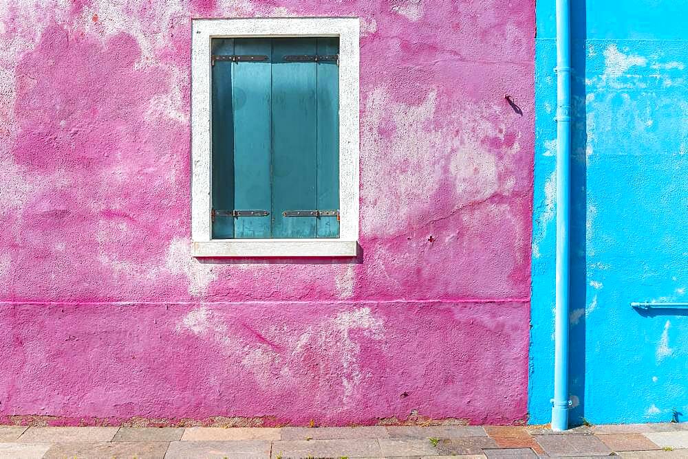 Window of a blue and pink house, colorful houses, colorful facade, Burano Island, Venice, Veneto, Italy, Europe