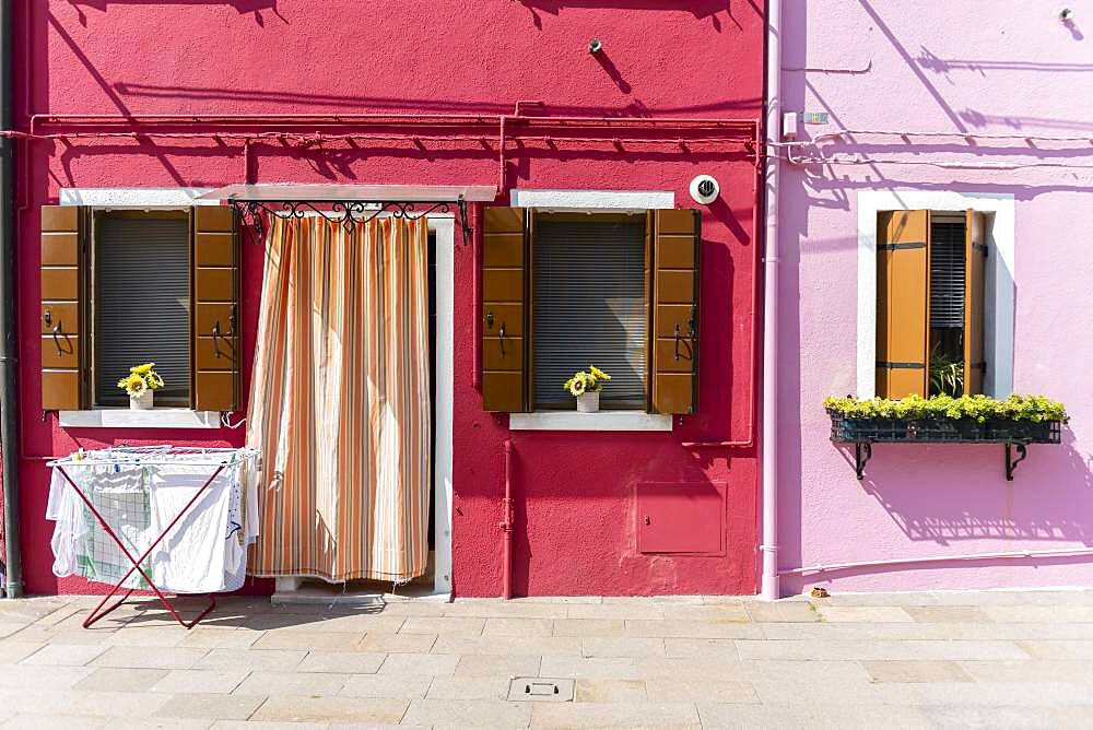 Colorful houses, colorful facade, Burano Island, Venice, Veneto, Italy, Europe