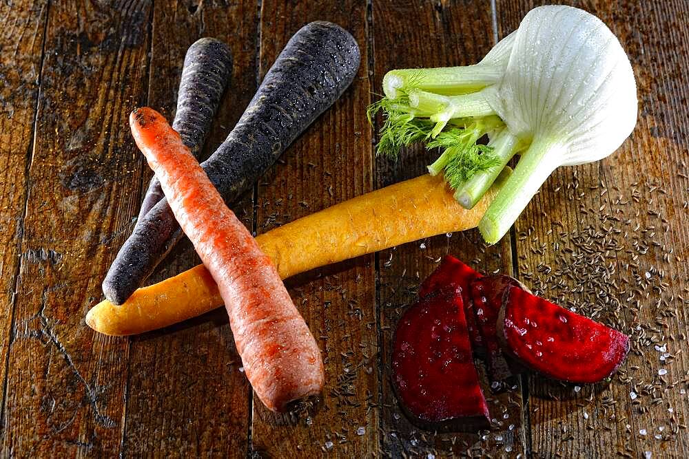 Still life with vegetables, various carrots, fennel and beetroot