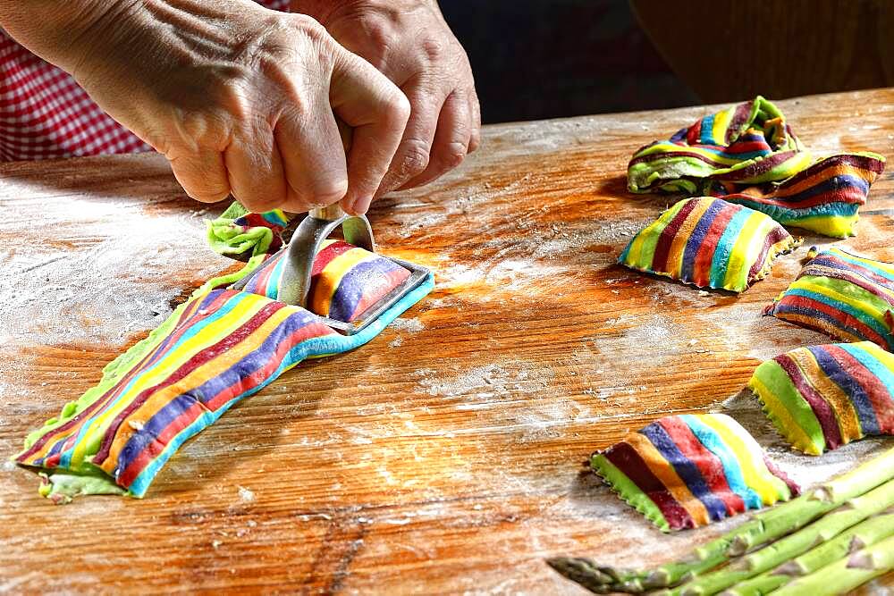 Cook cutting out fresh colorful ravioli with ravioli cutter, pasta, Germany, Europe