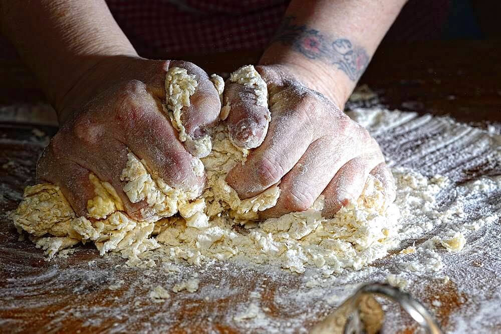 Woman hands kneading fresh pasta dough, Germany, Europe