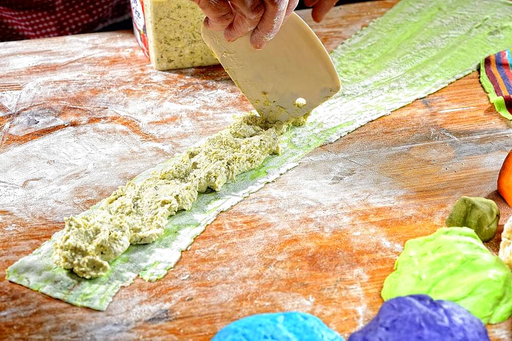 Fresh ravioli are filled, pasta dough, Germany, Europe