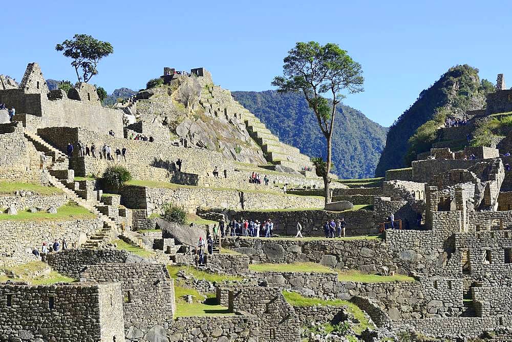 Inca ruined city, Machu Picchu, Urubamba Province, Peru, South America