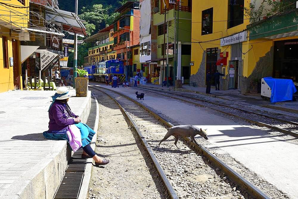 Railway tracks through the village of Aguas Calientes, Machu Picchu, Urubamba Province, Peru, South America