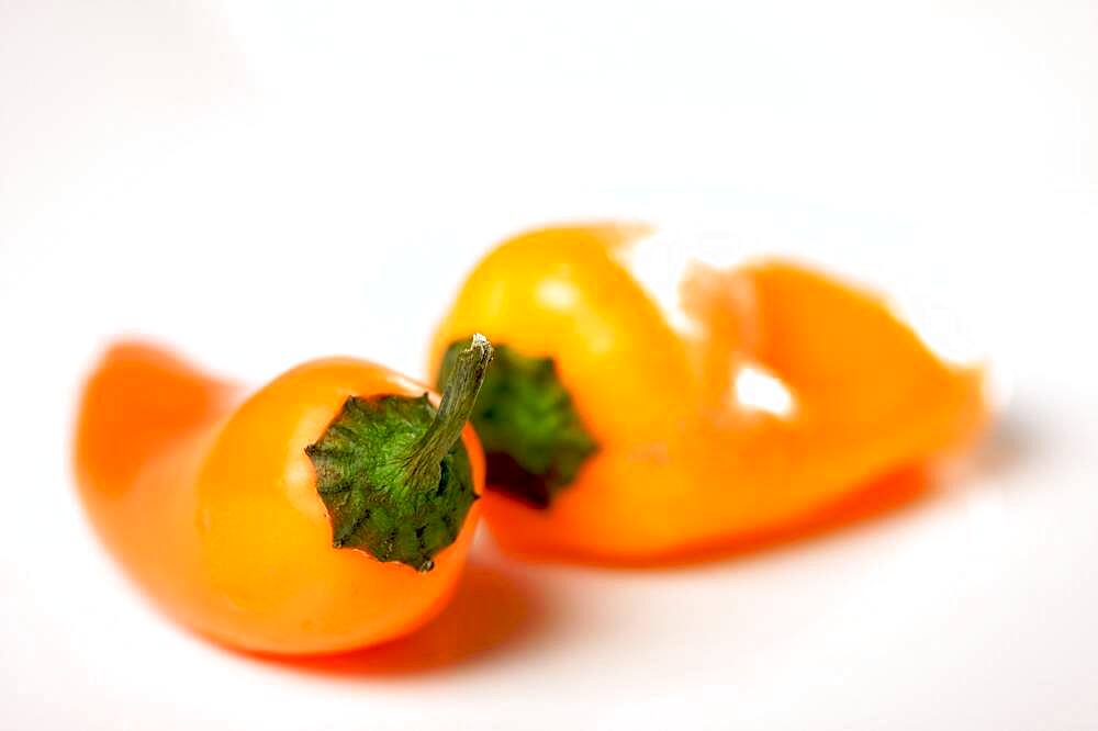 Sweet orange peppers on a white background