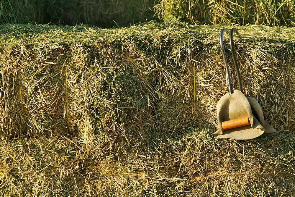 Abstract of stacked straw hay bails