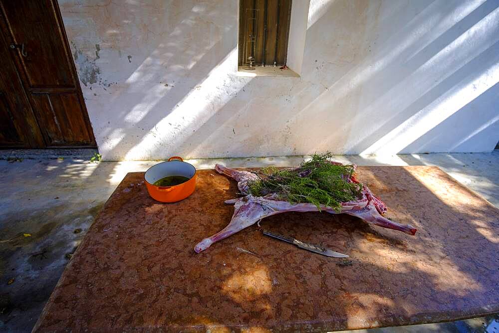 Whole lamb marinating in oil rub and rosemary for asado, in Altea La Vella, Alicante, Spain, Europe