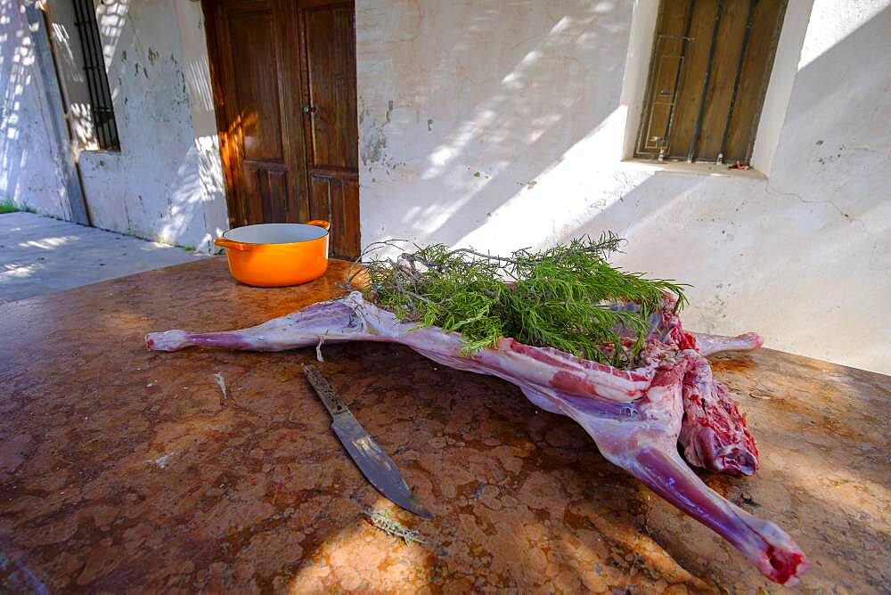 Whole lamb marinating in oil rub and rosemary for asado, in Altea La Vella, Alicante, Spain, Europe