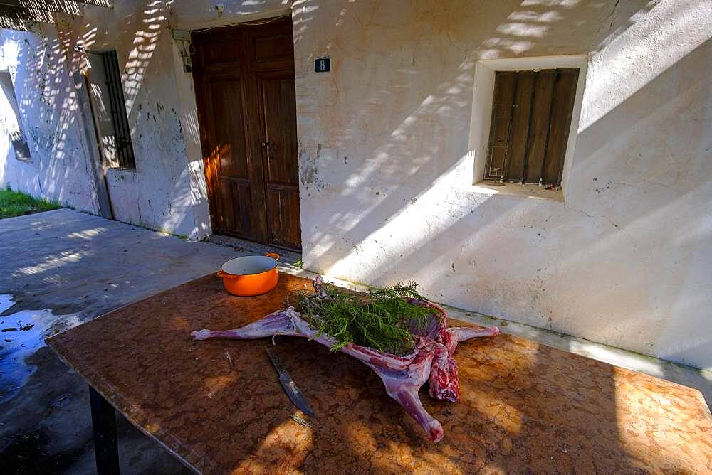 Whole lamb marinating in oil rub and rosemary for asado, in Altea La Vella, Alicante, Spain, Europe