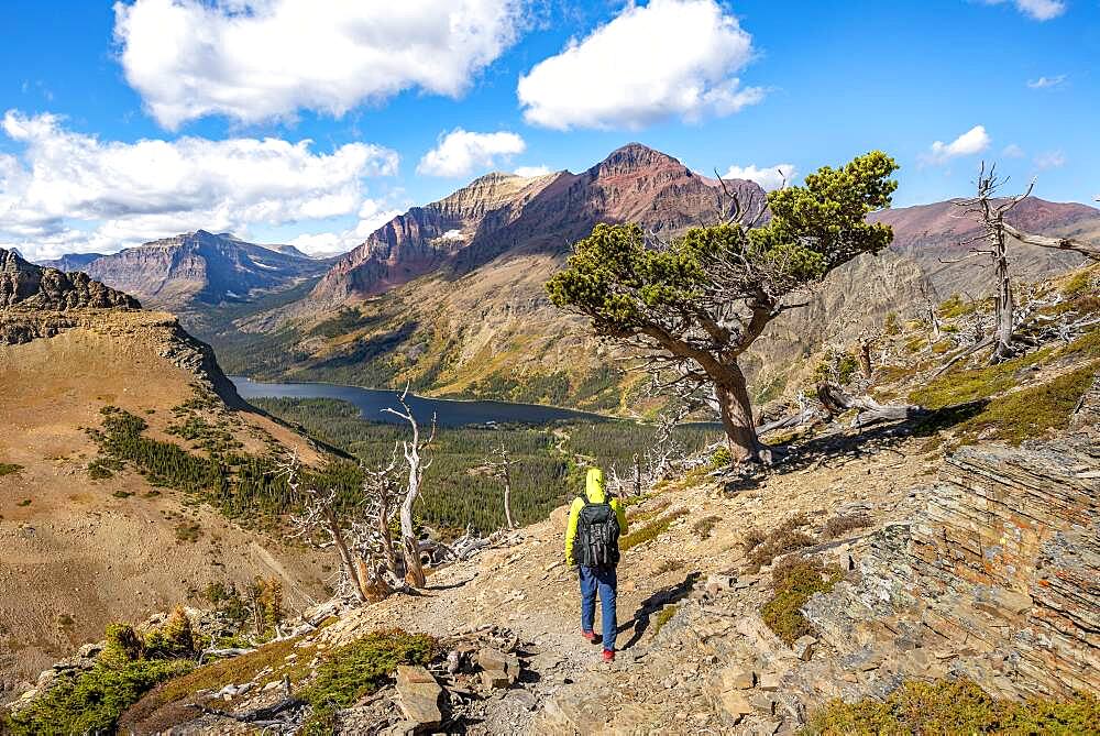 Hikers on the trail to Scenic Point, view of Two Medicine Lake with mountain peak Rising Wolf Mountain, Glacier National Park, Montana, USA, North America