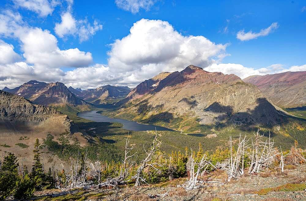 View of Two Medicine Lake with dead trees, hiking trail to Scenic Point, Glacier National Park, Montana, USA, North America