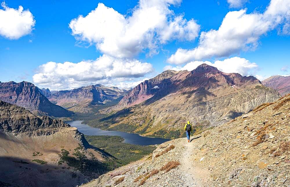 Hikers on the trail to Scenic Point, view of Two Medicine Lake with mountain peak Rising Wolf Mountain, Glacier National Park, Montana, USA, North America