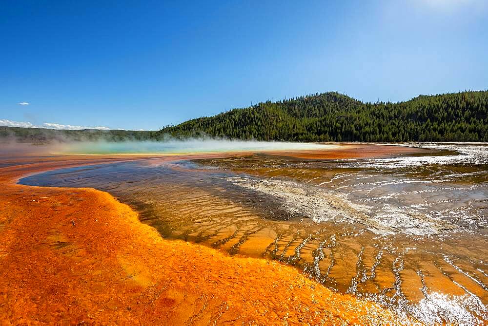 Steaming hot spring with colored mineral deposits, Grand Prismatic Spring, Midway Geyser Basin, Yellowstone National Park, Wyoming, USA, North America