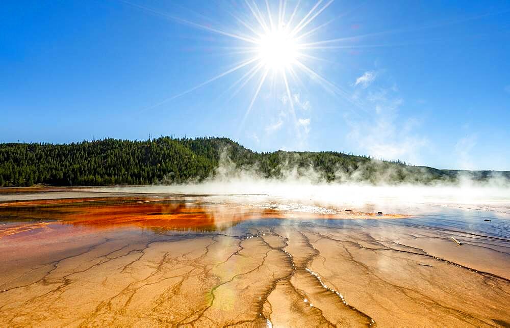 Steaming hot spring with sun star, Colored mineral deposits, Grand Prismatic Spring, Midway Geyser Basin, Yellowstone National Park, Wyoming, USA, North America