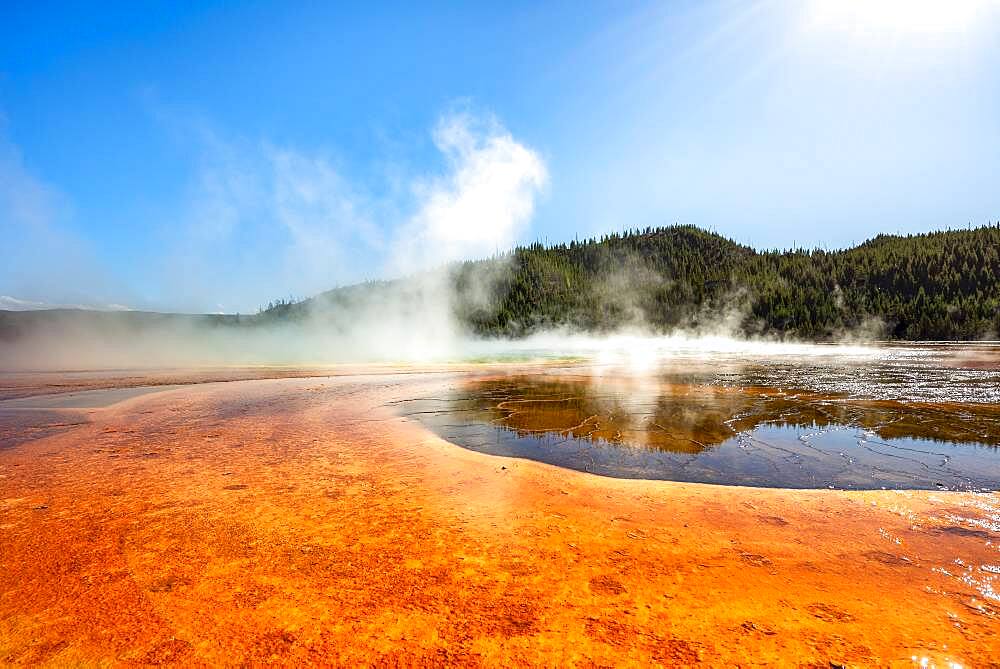 Steaming hot spring with colored mineral deposits, Grand Prismatic Spring, Midway Geyser Basin, Yellowstone National Park, Wyoming, USA, North America