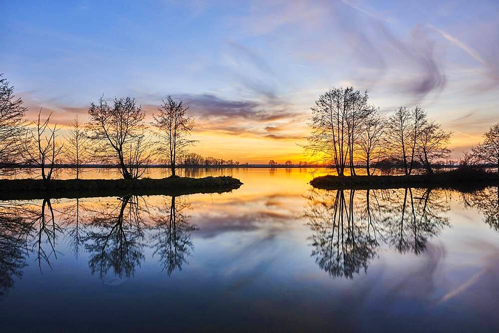 Sunset above donau river with common alder (Alnus glutinosa) trees, Upper Palatinate, Bavaria, Germany, Europe