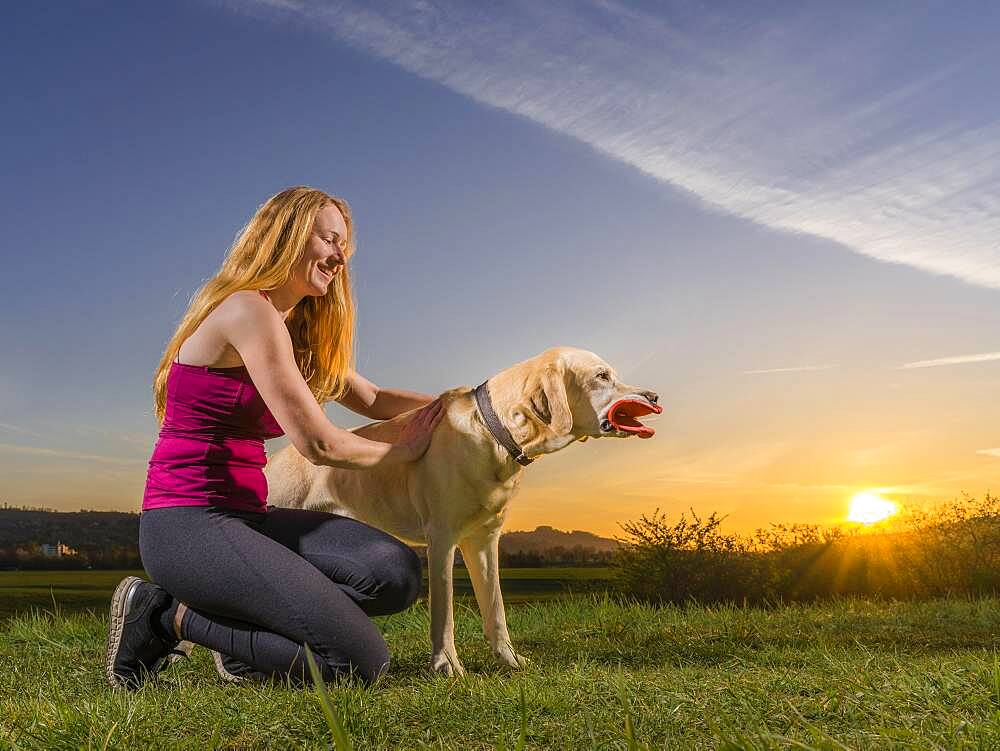 Young woman playing with dog, Labrador Retriever, sunset, Schorndorf, Baden-Wuerttemberg, Germany, Europe