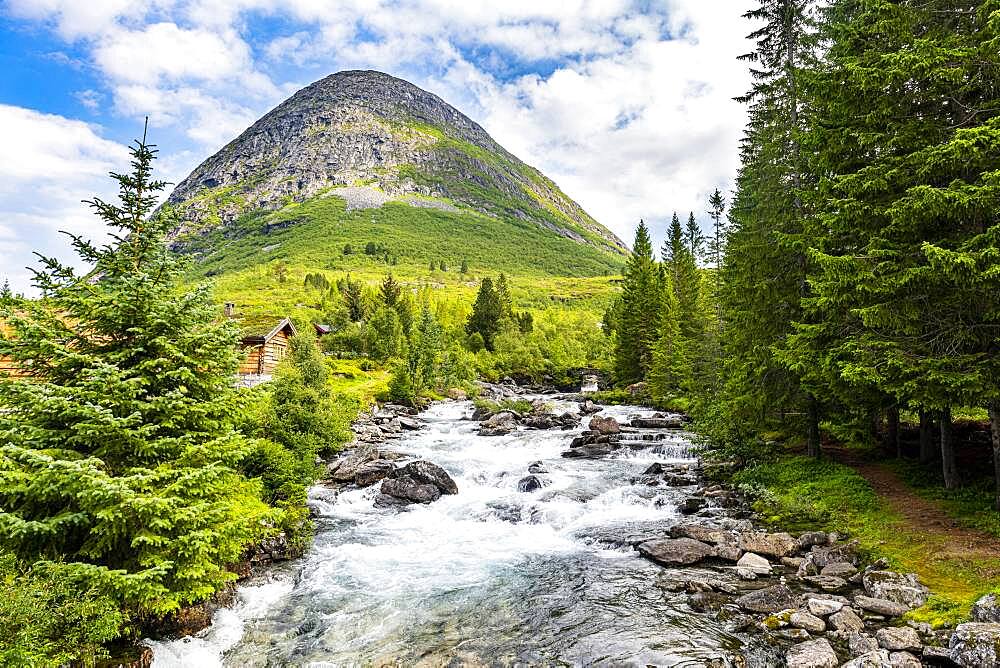 River running through the glacial valley, Trollstigen mountain road, Norway, Europe