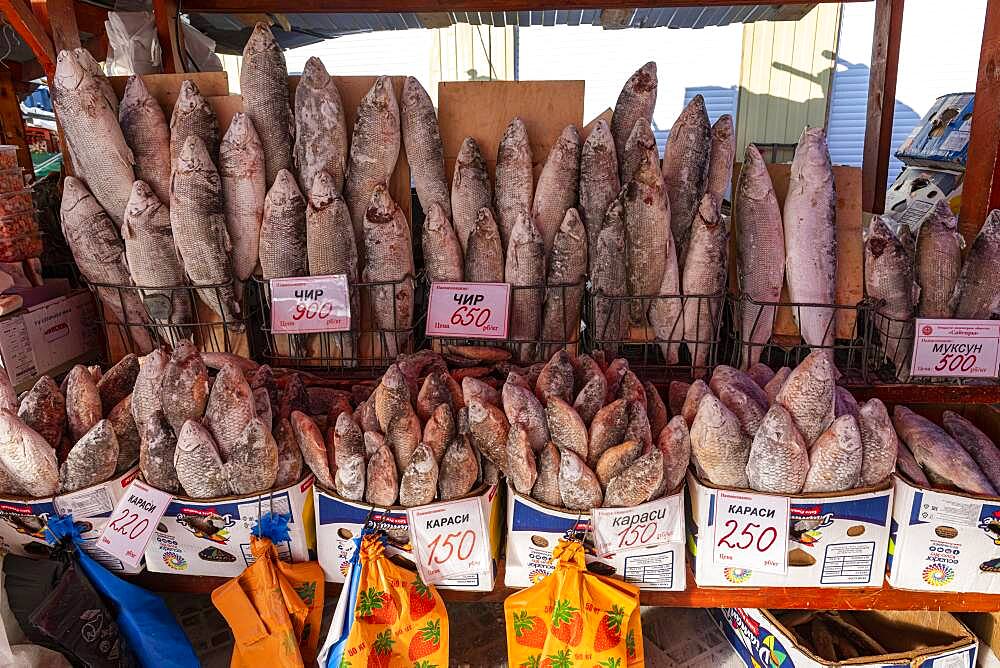 Deep frozen fish at the Fish and meat market, Yakutsk, Sakha Republic, Russia, Europe