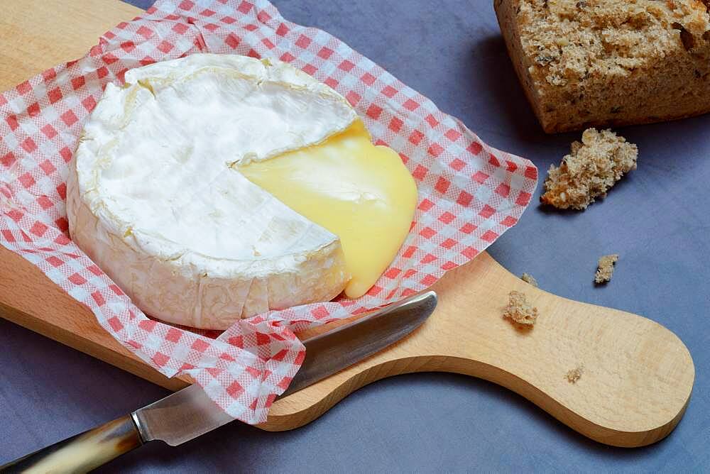 French Camembert, sliced soft cheese, Germany, Europe