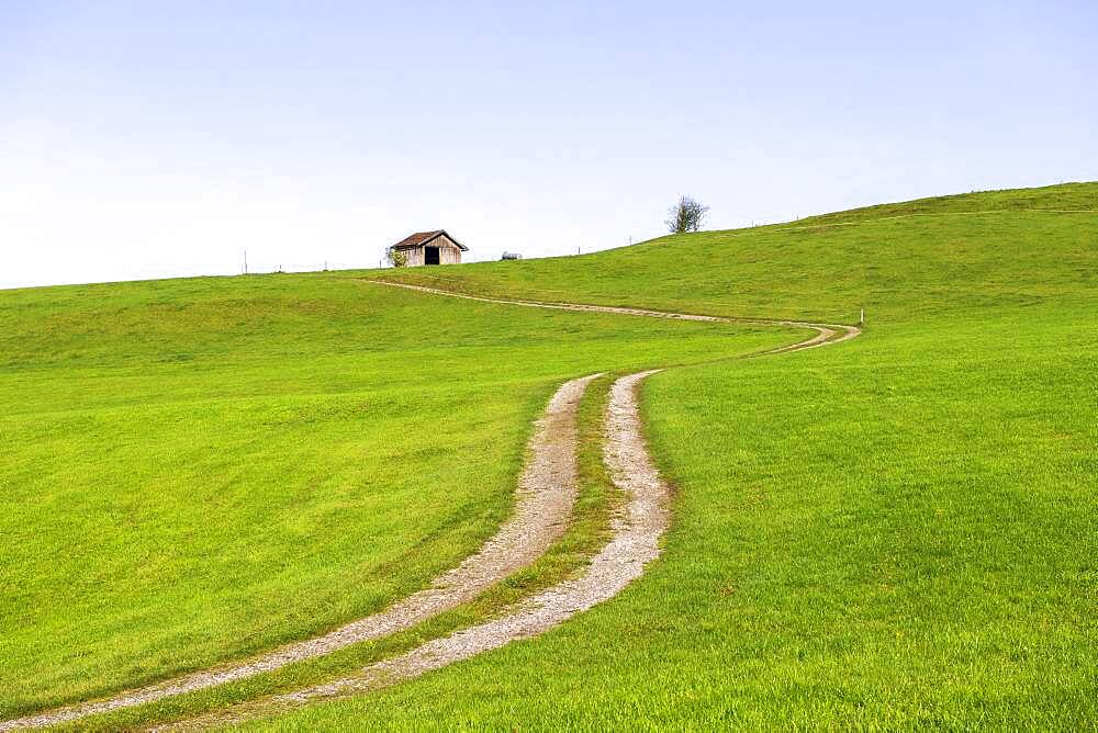 Landscape near Rieden am Forggensee, Ostallgaeu, Allgaeu, Swabia, Bavaria, Germany, Europe