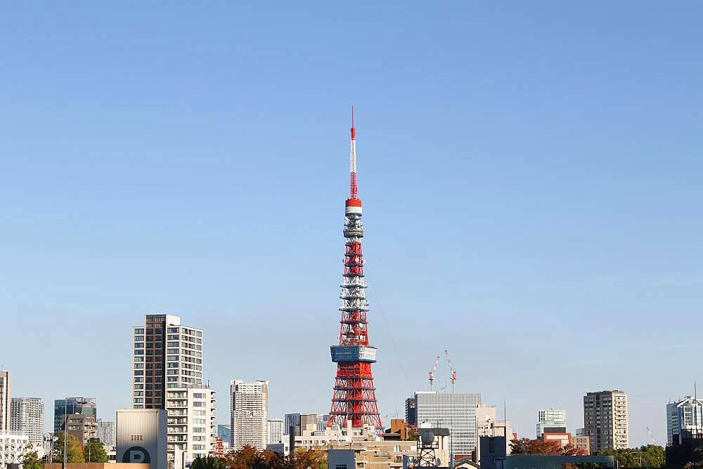 Cityscape with Tokyo Tower in front of blue sky, Tokyo, Japan, Asia