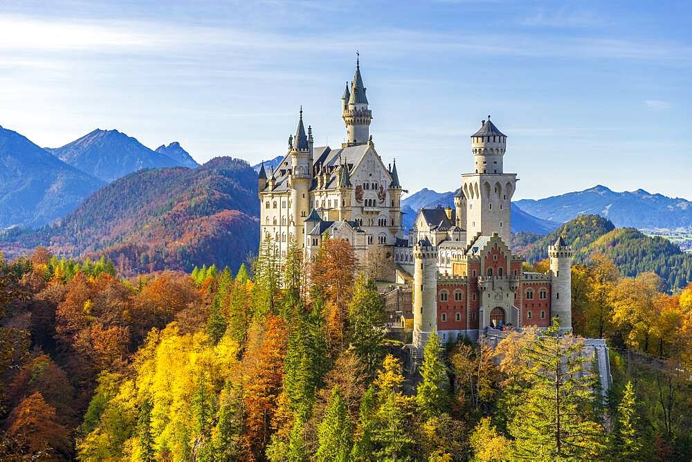 Neuschwanstein Castle in autumn, near Schwangau, Ostallgaeu, Allgaeu, Swabia, Bavaria, Germany, Europe