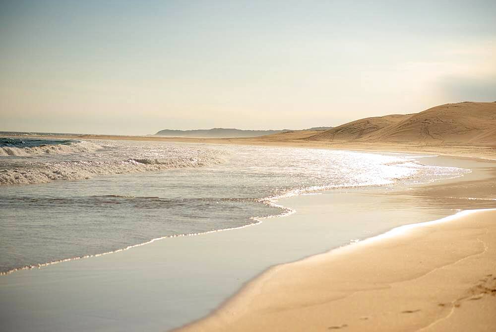 Waves crashing into coast with sand dunes in background, Port Elizabeth, South Africa, Africa