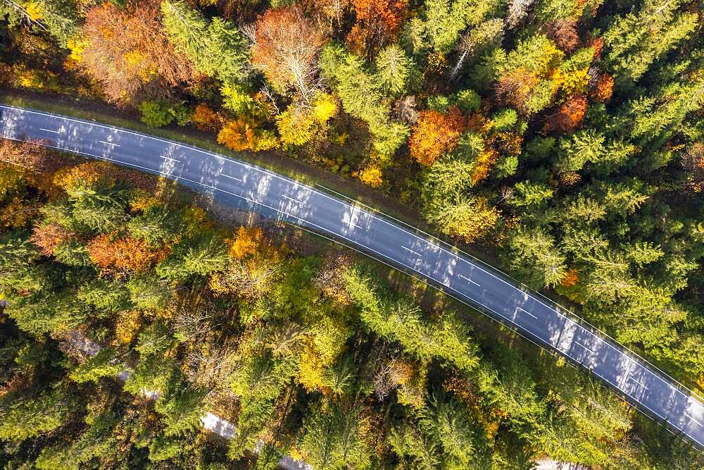 Aerial view, country road in autumn from above, Reit im Winkl, Bavaria, Germany, Europe