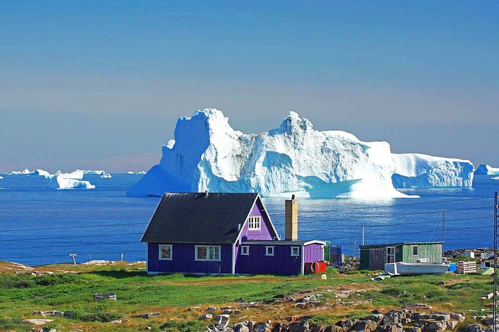 Purple wooden house in front of huge icebergs, Qeqertarsuaq, Disko Island, Disko Bay, Greenland, Denmark, North America