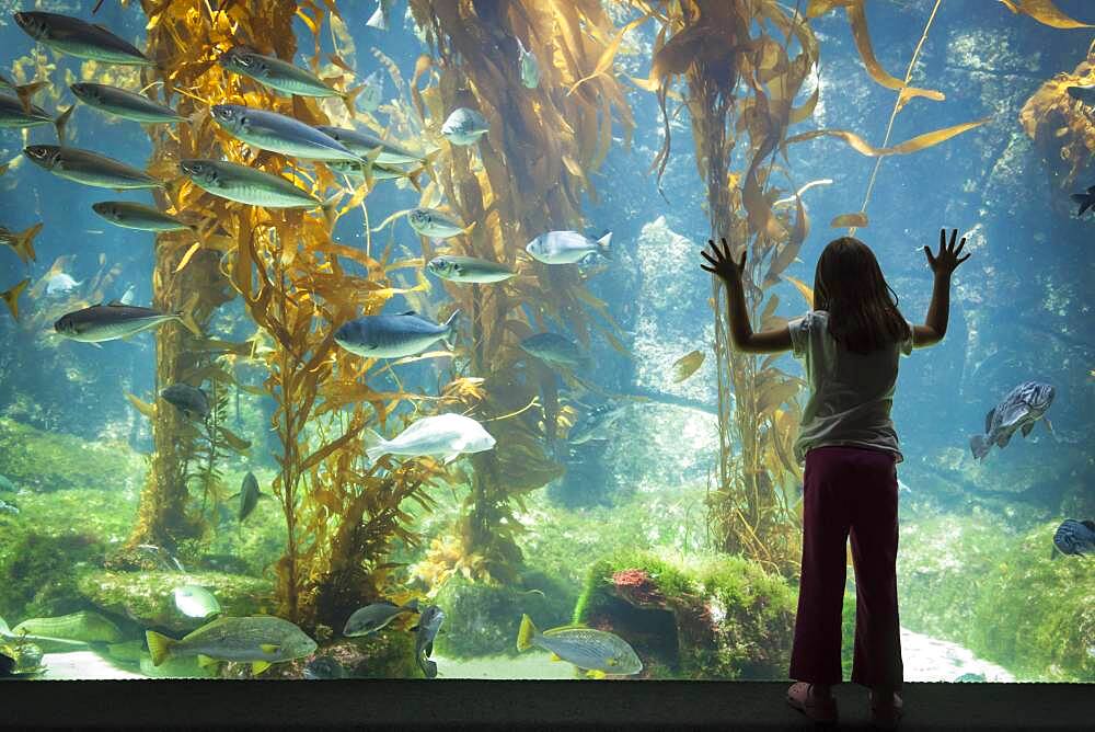 Amazed young girl standing up against large aquarium observation glass