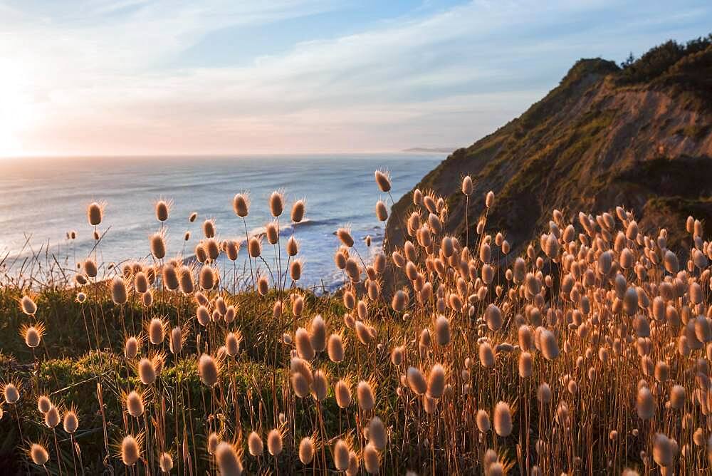 Sunset at Mahia Bay, Hawke's Bay, North Island, New Zealand, Oceania