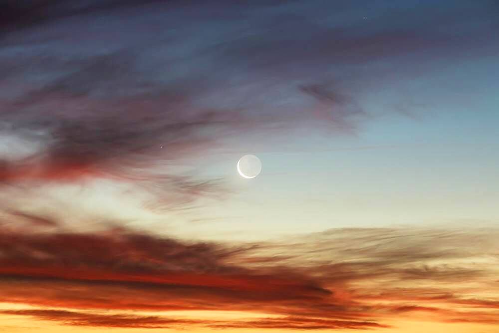 Moon at sunset at Lake Taupo, Waikato, North Island, New Zealand, Oceania