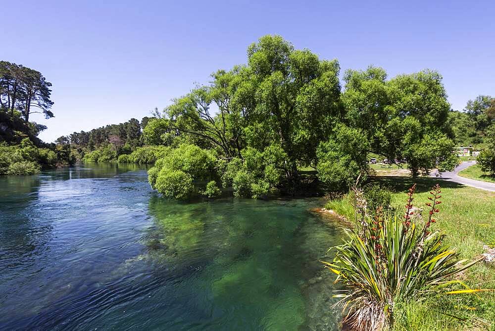 Landscape, Waikato River, Waikato, North Island, New Zealand, Oceania