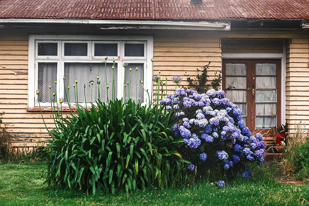 Close-up of house, Karamea, Buller District, West Coast, South Island, New Zealand, Oceania