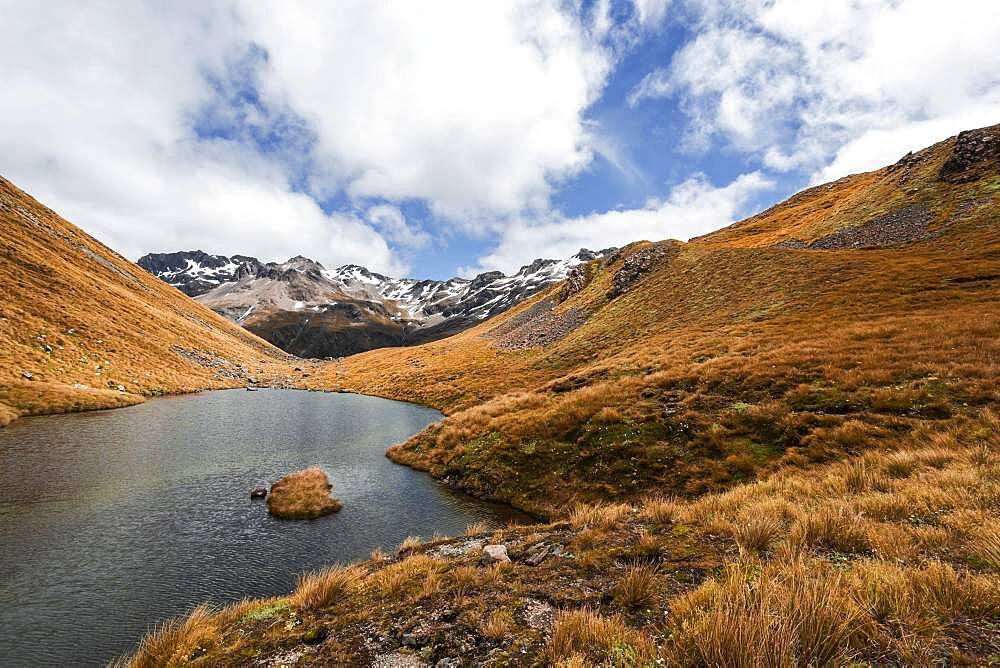 Landscape, Arthur's Pass, Selwyn, Canterbury, South Island, New Zealand, Oceania