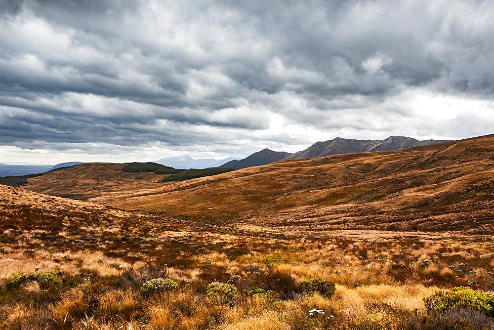 Landscape, South West New Zealand World Heritage Area, Te Wahipounamu, Fiordland National Park, South Island, New Zealand, Oceania