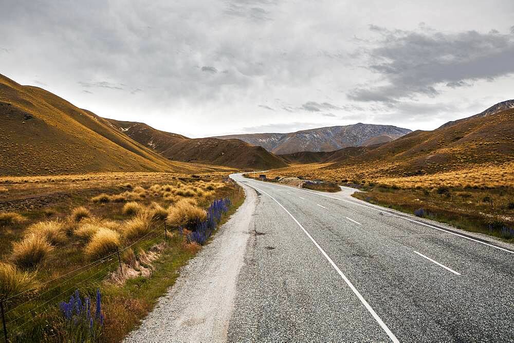 Highway, Lindis Pass, South Island, New Zealand, Oceania