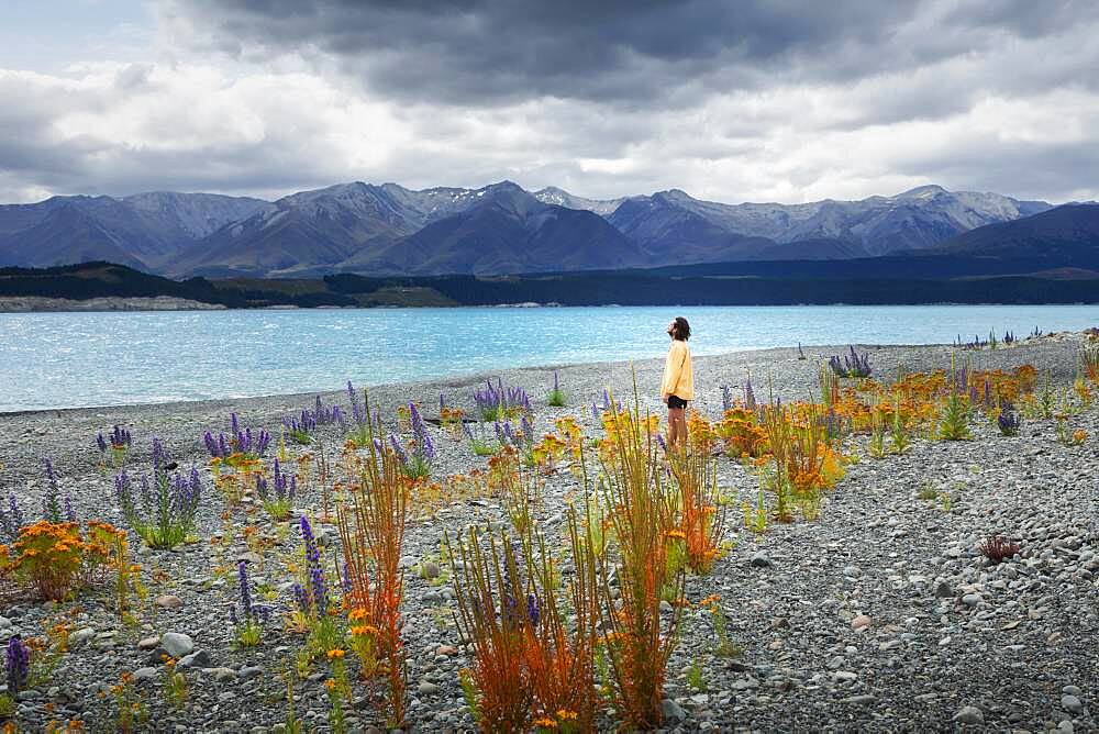 Guy at a beach at Lake Tekapo, Canterbury region, Mackenzie District, South Island, New Zealand, Oceania