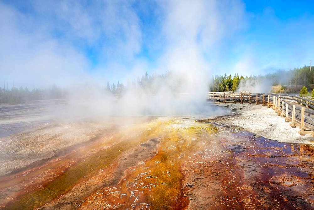 Orange and red mineral deposits, steaming hot springs, morning sun, West Thumb Geyser Basin, Yellowstone National Park, Wyoming, USA, North America