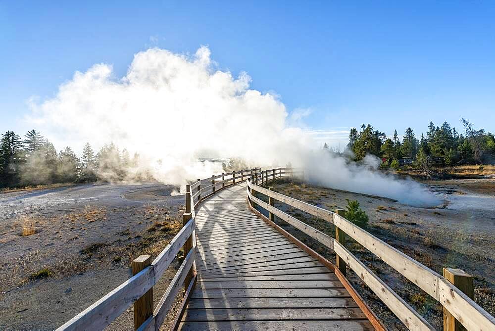 Boardwalk between steaming hot springs, morning sun, West Thumb Geyser Basin, Yellowstone National Park, Wyoming, USA, North America