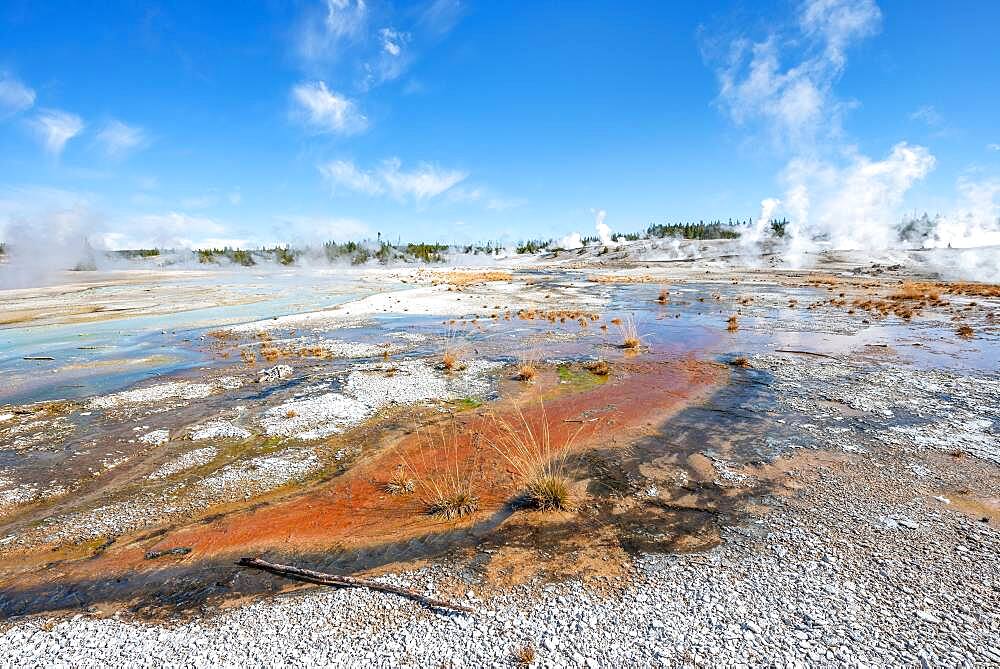 Red mineral deposits at a thermal spring, Noris Geyser Basin, Yellowstone National Park, Wyoming, USA, North America