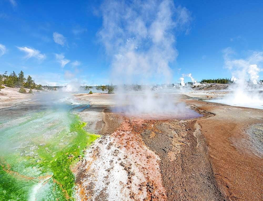 Red mineral deposits and green algae at a thermal spring, steaming hot springs, Whirligig Geyser, Noris Geyser Basin, Yellowstone National Park, Wyoming, USA, North America