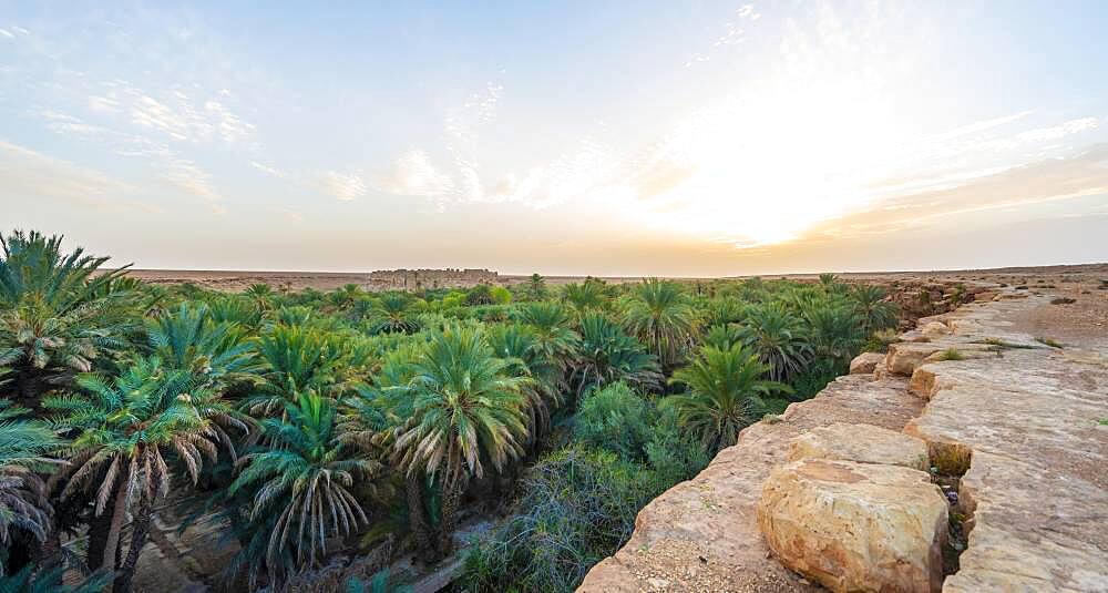 Cliff edge and valley full of palm trees, sunset, oasis Source Bleu, Blue Spring, Madkhal Meski, Morocco, Africa