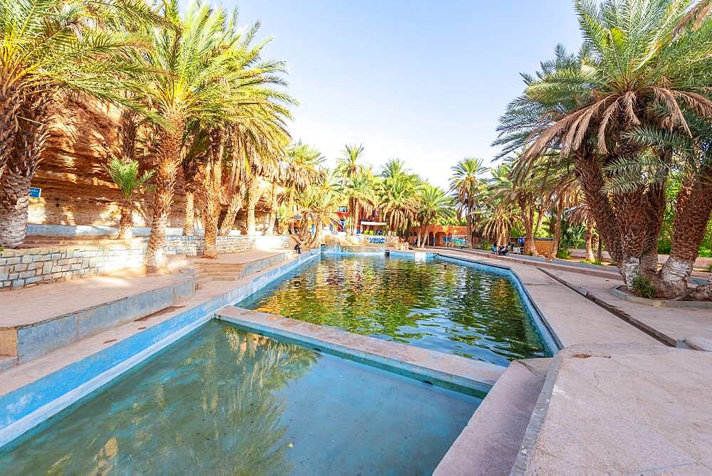 Swimming pool with palm trees, Oasis Source Bleu, Blue Spring, Madkhal Meski, Morocco, Africa