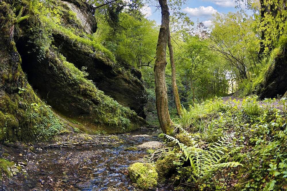 Primeval landscape in the Leidinghofer valley, Mathelbach, karst, rocks, overhang, near Leidingshof, part of Markt Heiligenstadt, Franconian Switzerland, Upper Franconia, Franconia, Bavaria, Germany, Europe