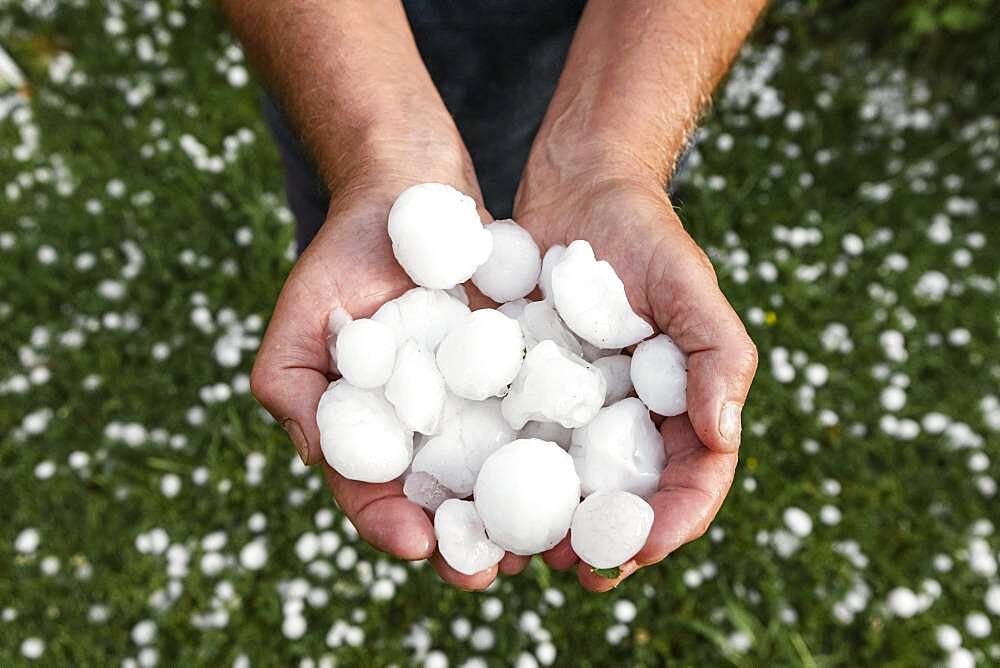 Golfball-sized hailstones in hands, Mondsee, Upper Austria, Austria, Europe